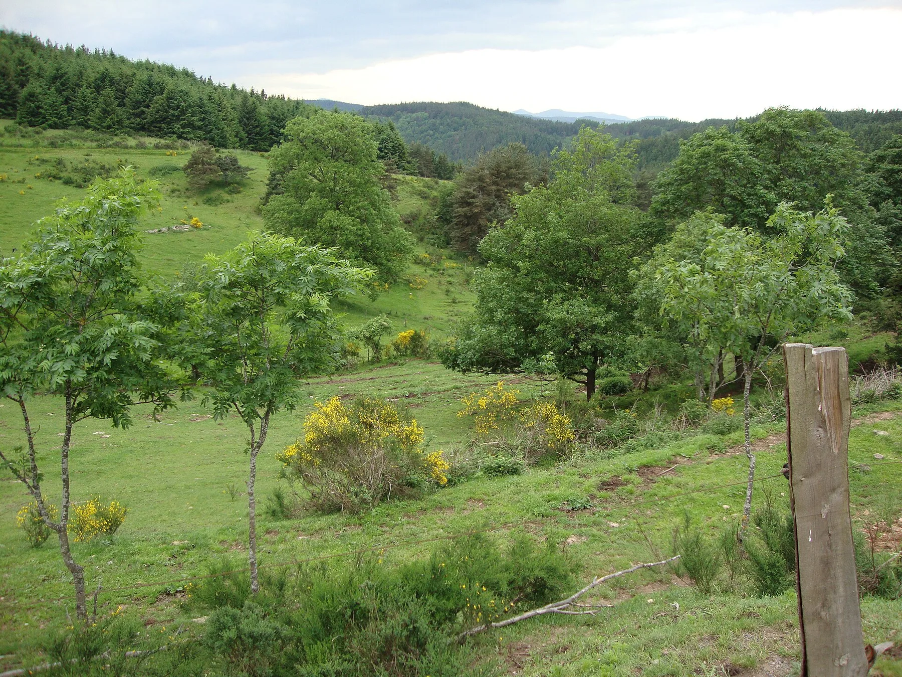 Paysage de Haute-Loire